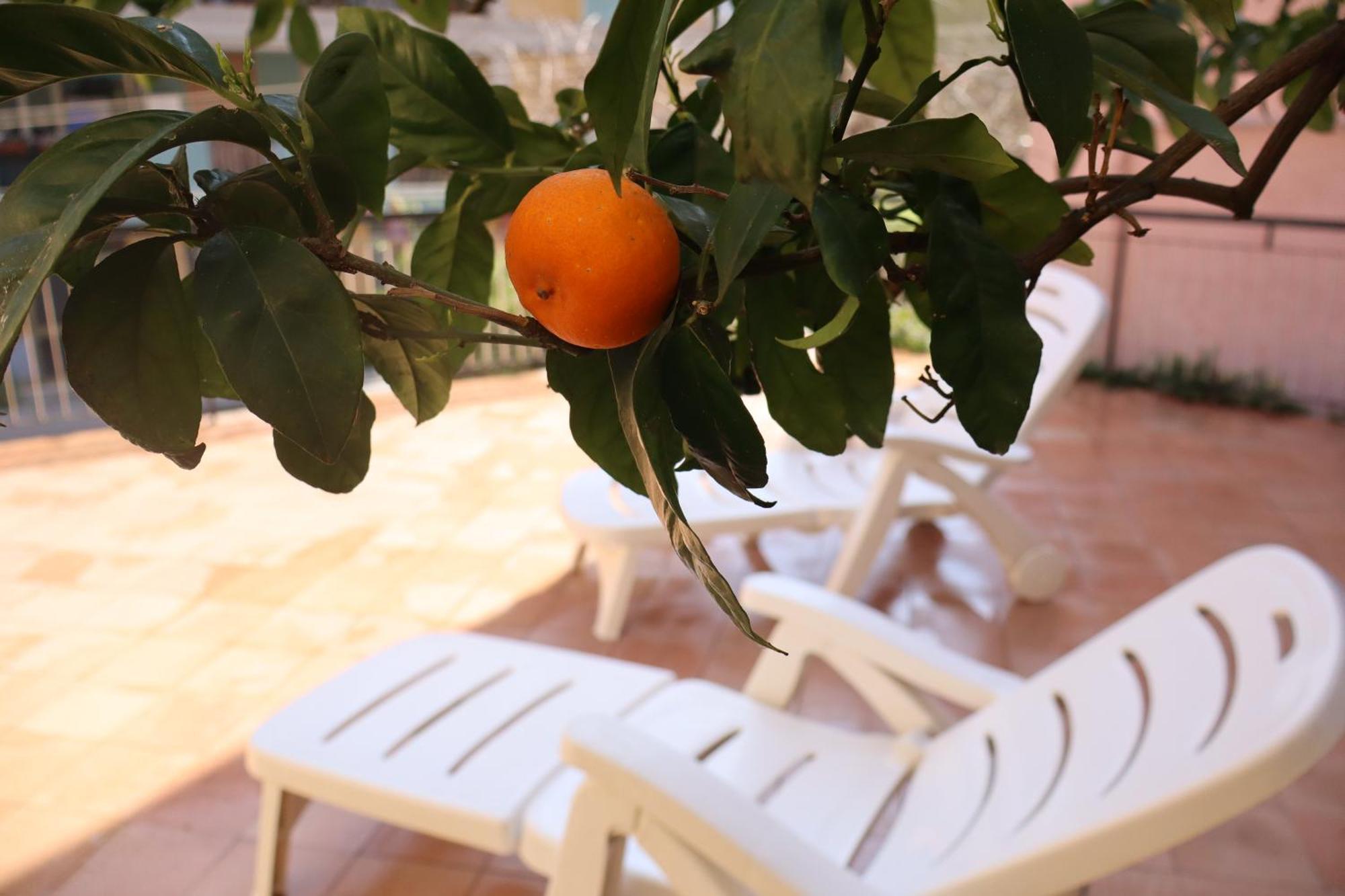 شقة Giulio'S Terraces In The Bay بورتوفينيري المظهر الخارجي الصورة
